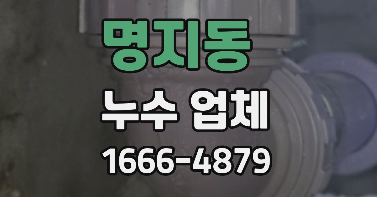 명지동 누수 업체