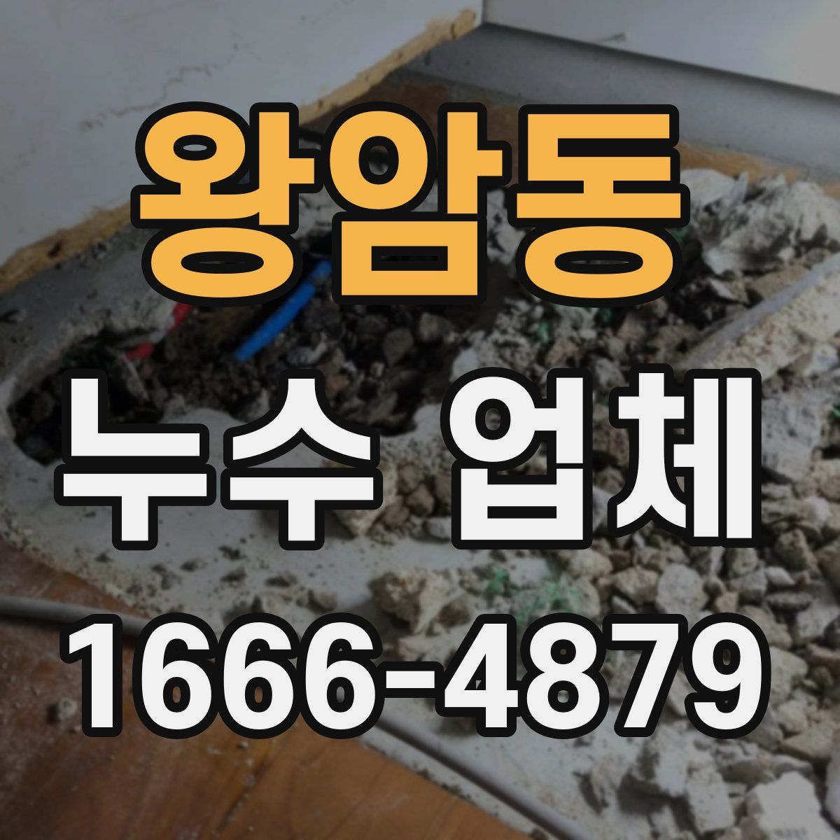 왕암동 누수 업체