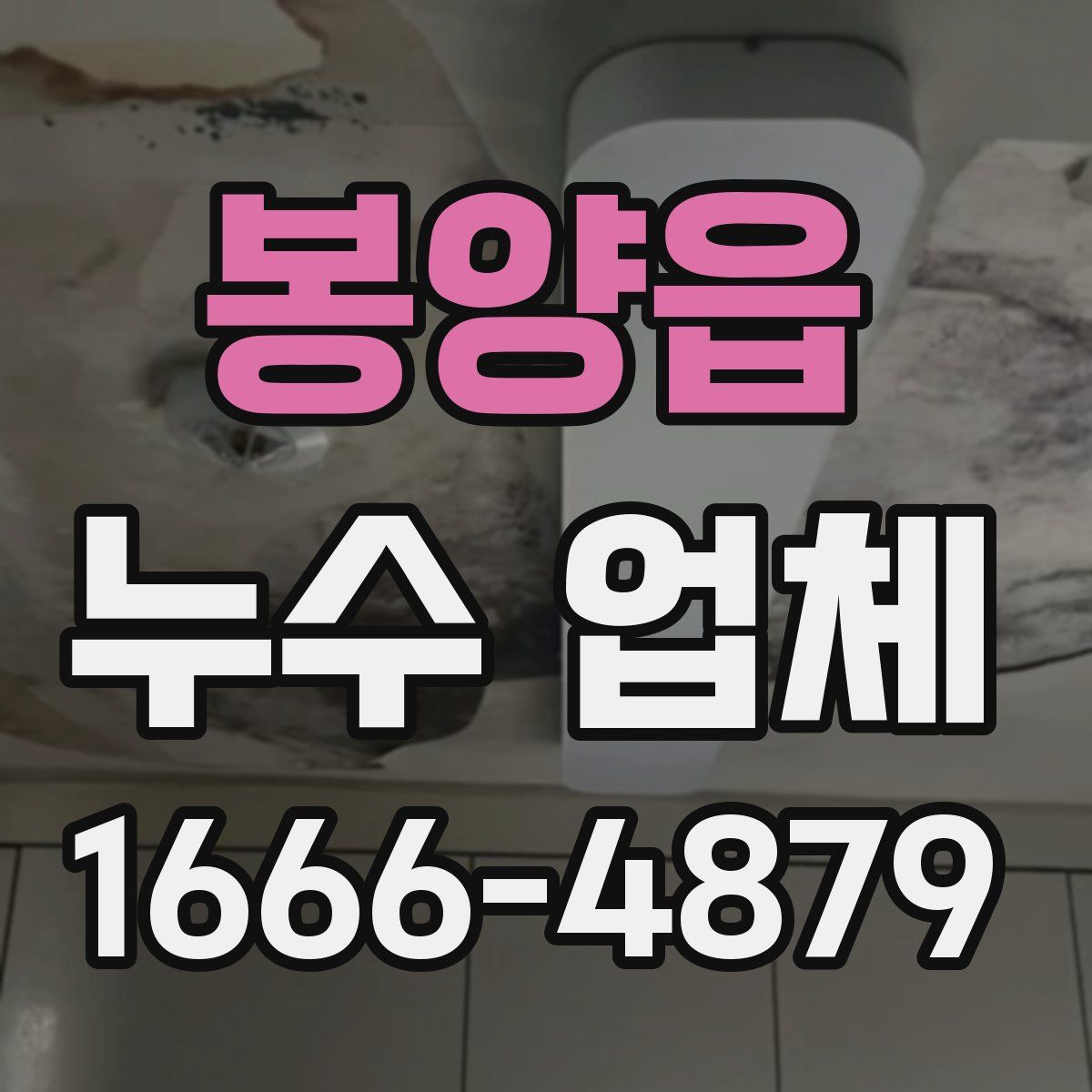 봉양읍 누수 업체