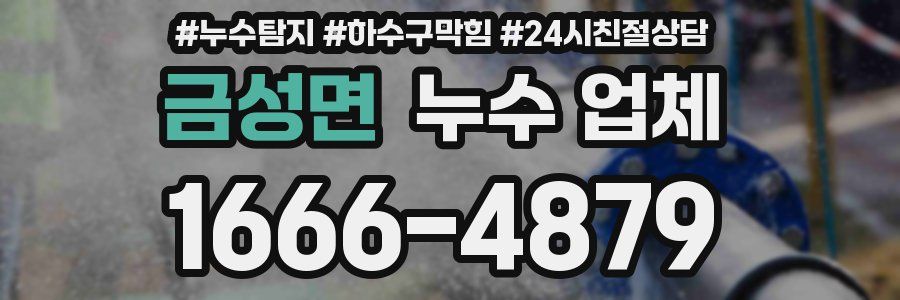 금성면 누수 업체