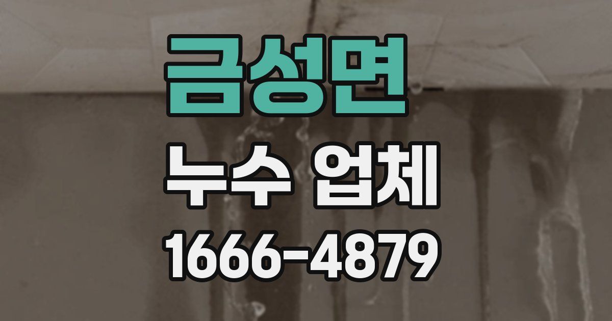 금성면 누수 업체