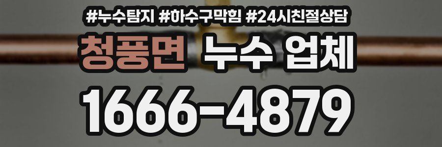 청풍면 누수 업체