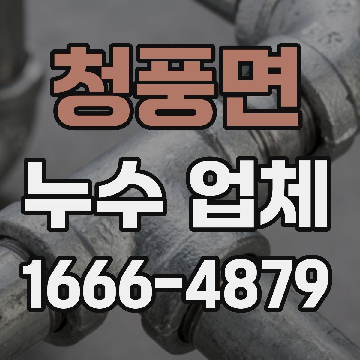 청풍면 누수 업체
