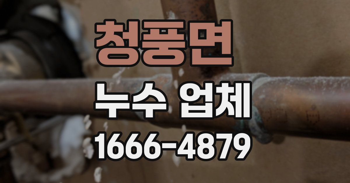 청풍면 누수 업체