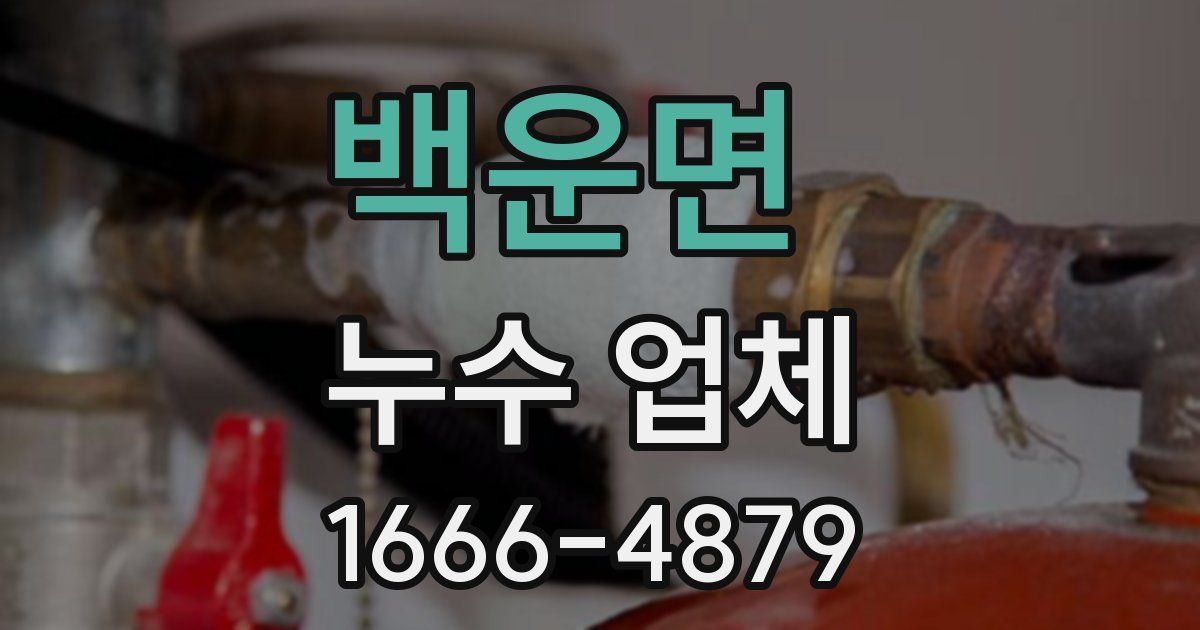 백운면 누수 업체