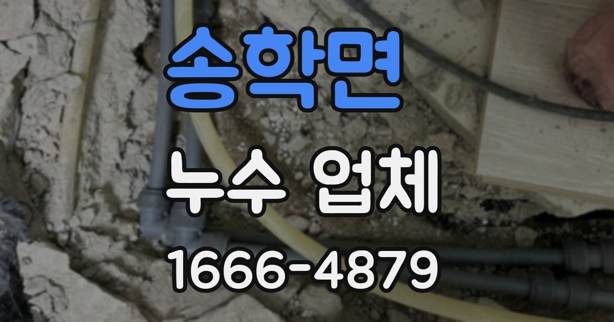 송학면 누수 업체