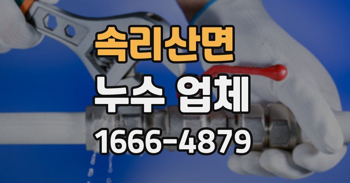 속리산면 누수 업체