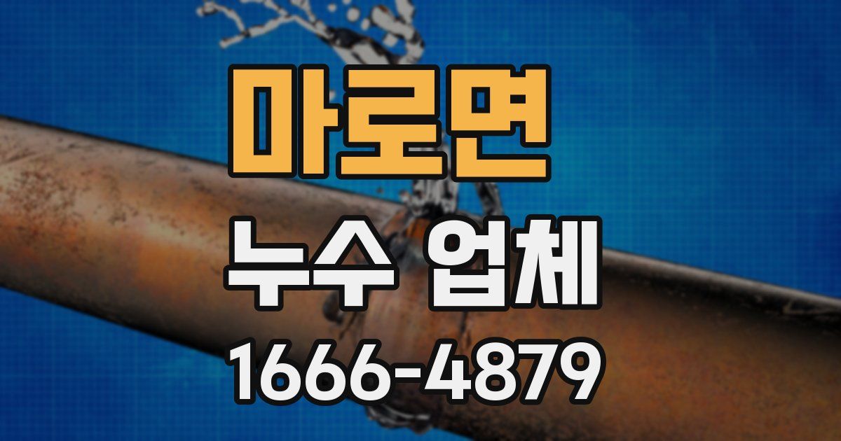 마로면 누수 업체