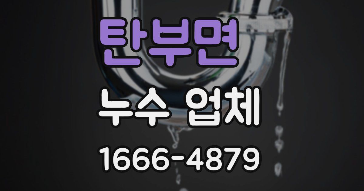 탄부면 누수 업체
