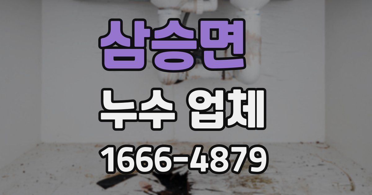 삼승면 누수 업체
