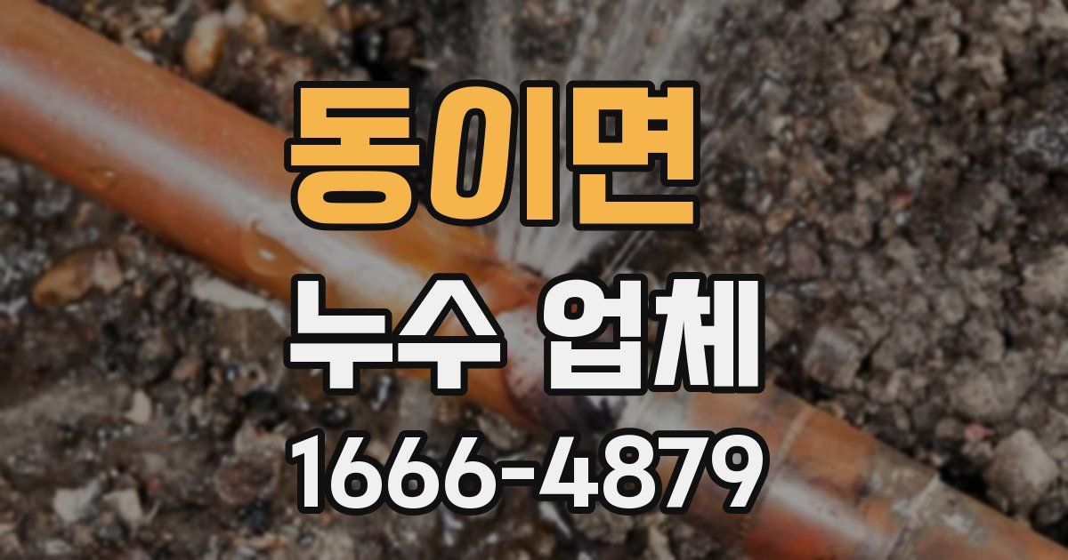 동이면 누수 업체