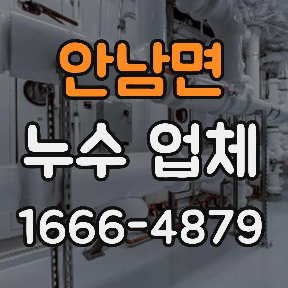안남면 누수 업체