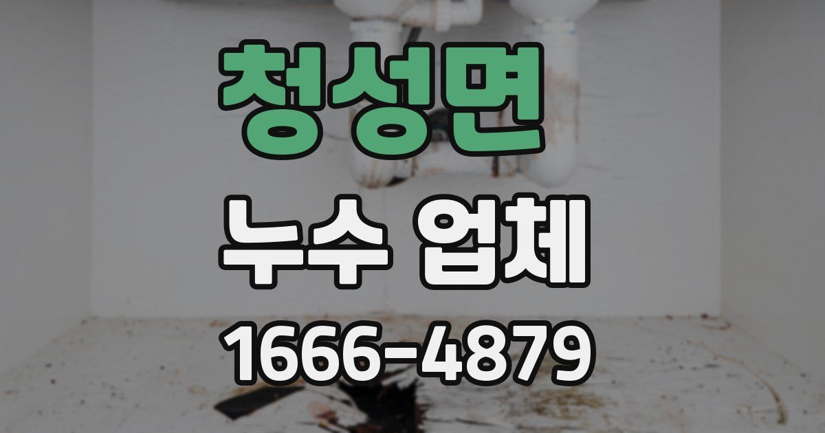 청성면 누수 업체