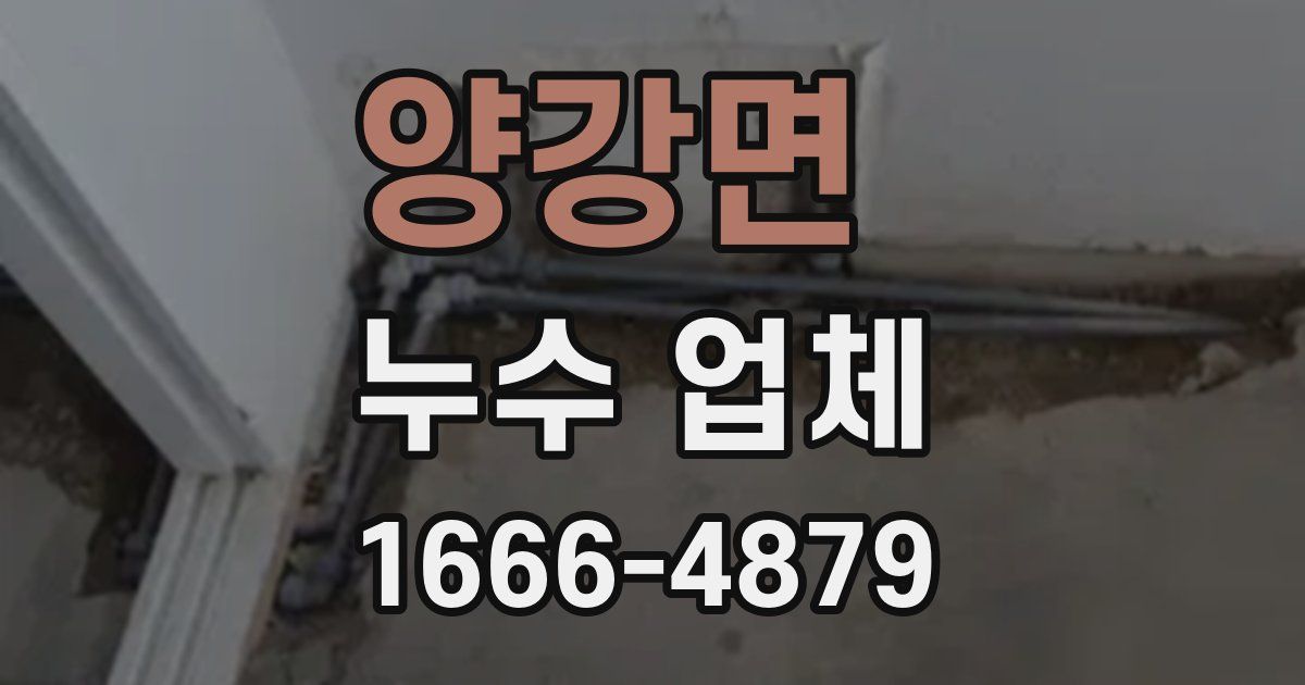 양강면 누수 업체