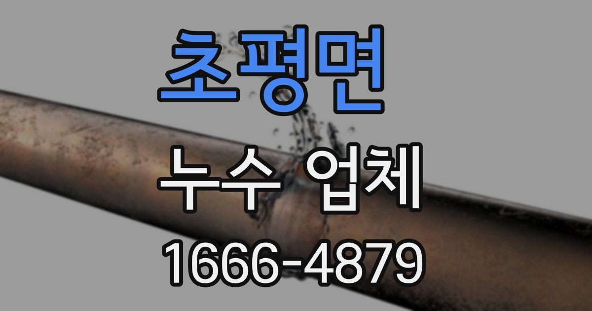초평면 누수 업체