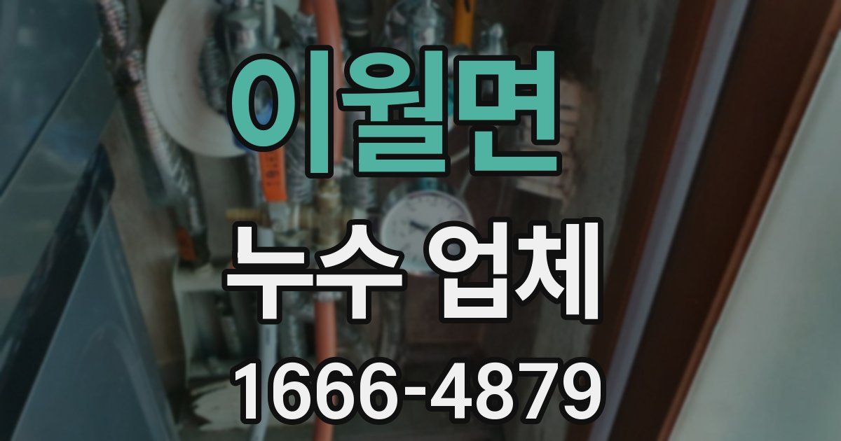 이월면 누수 업체