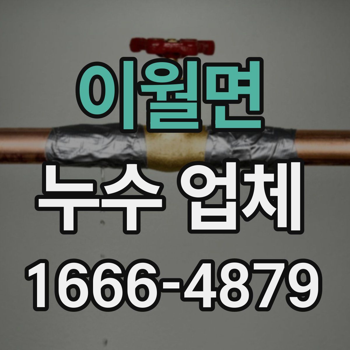 이월면 누수 업체