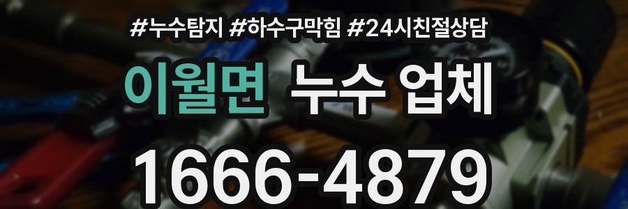 이월면 누수 업체