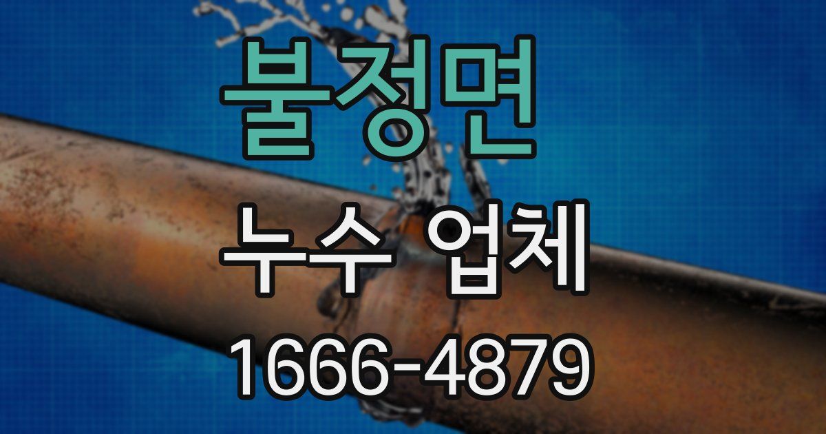 불정면 누수 업체