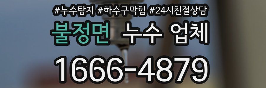 불정면 누수 업체