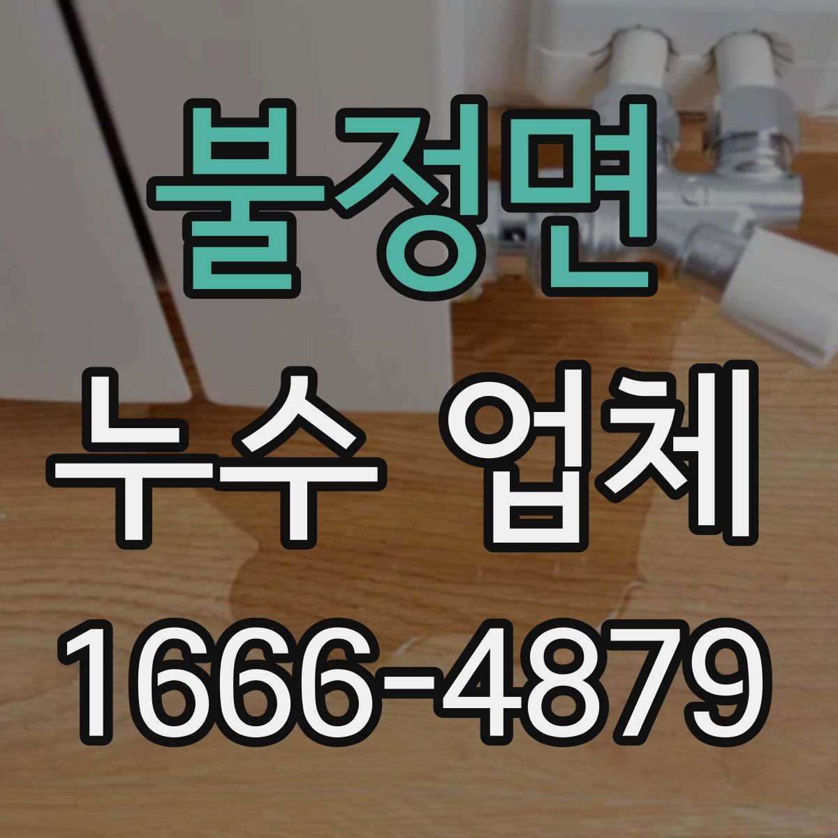 불정면 누수 업체