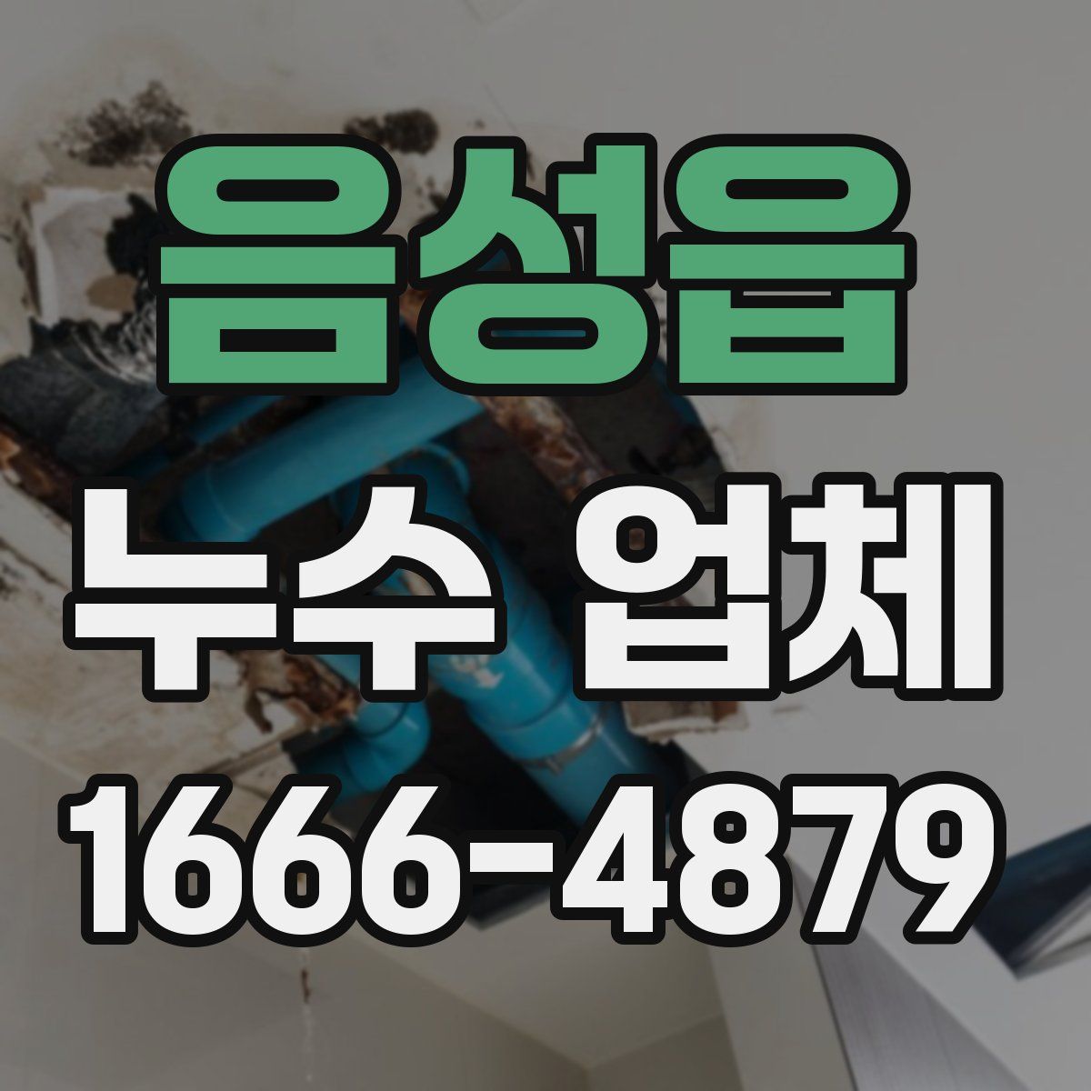 음성읍 누수 업체