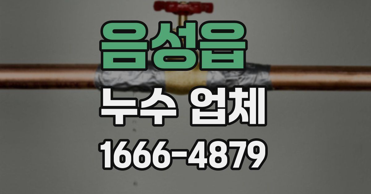 음성읍 누수 업체