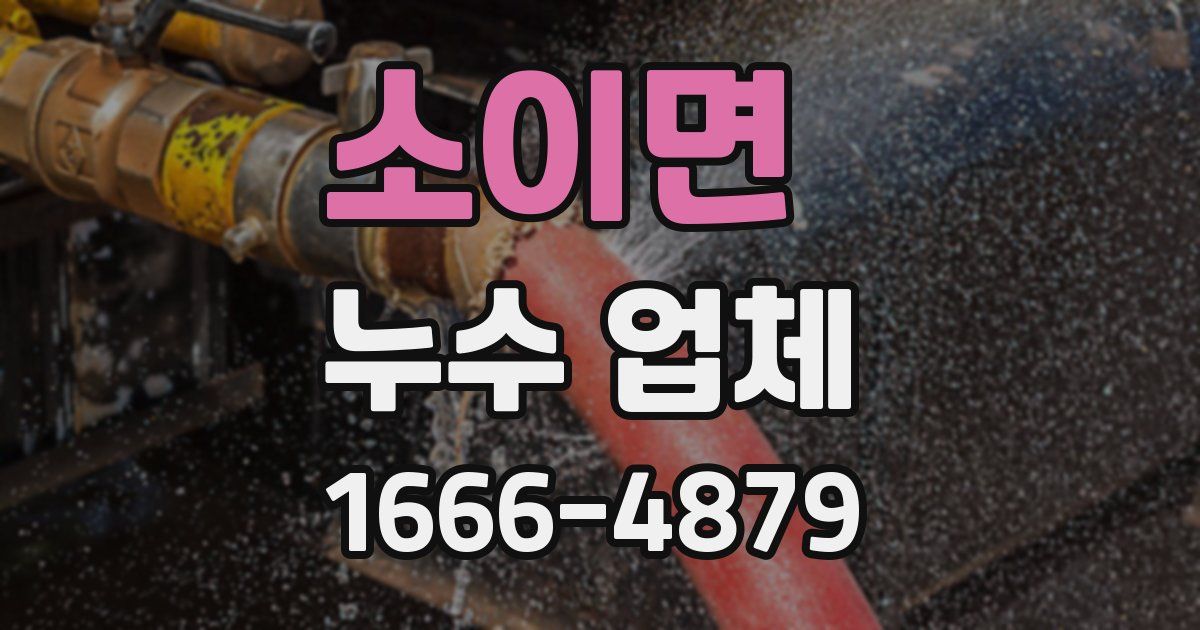 소이면 누수 업체