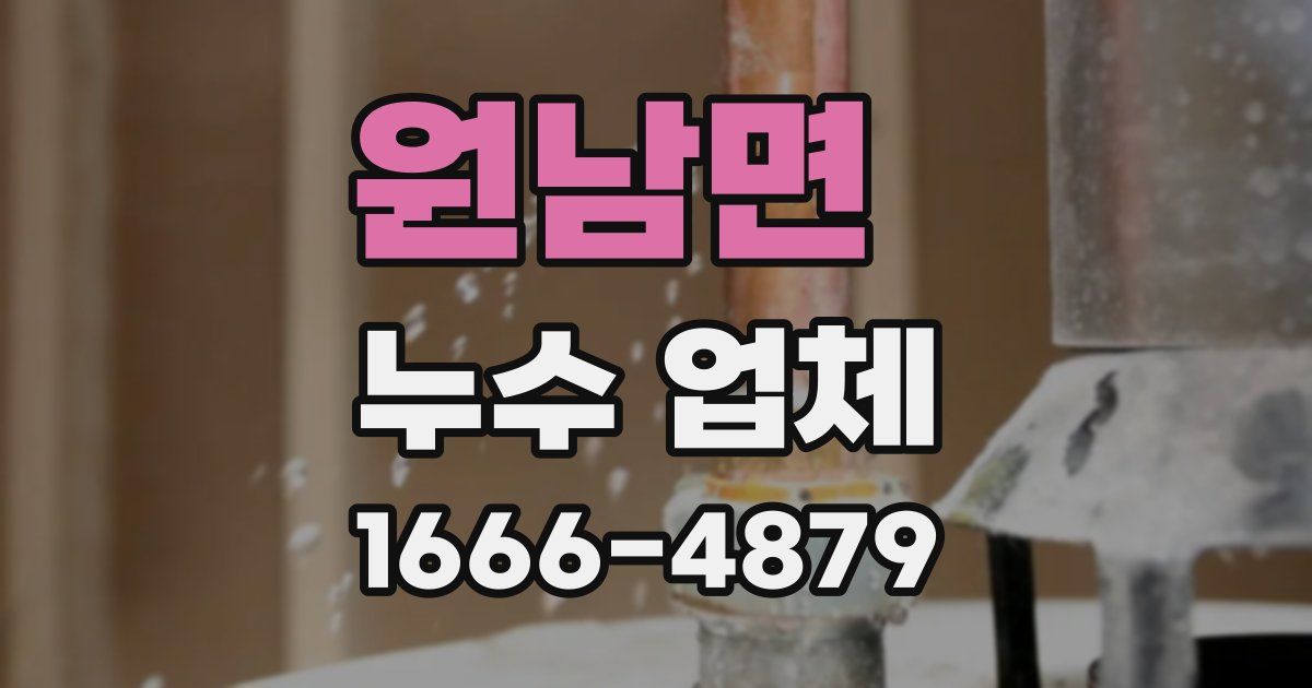 원남면 누수 업체