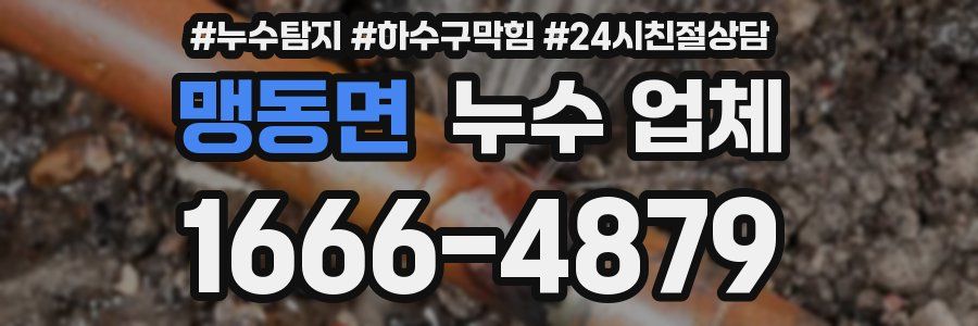 맹동면 누수 업체