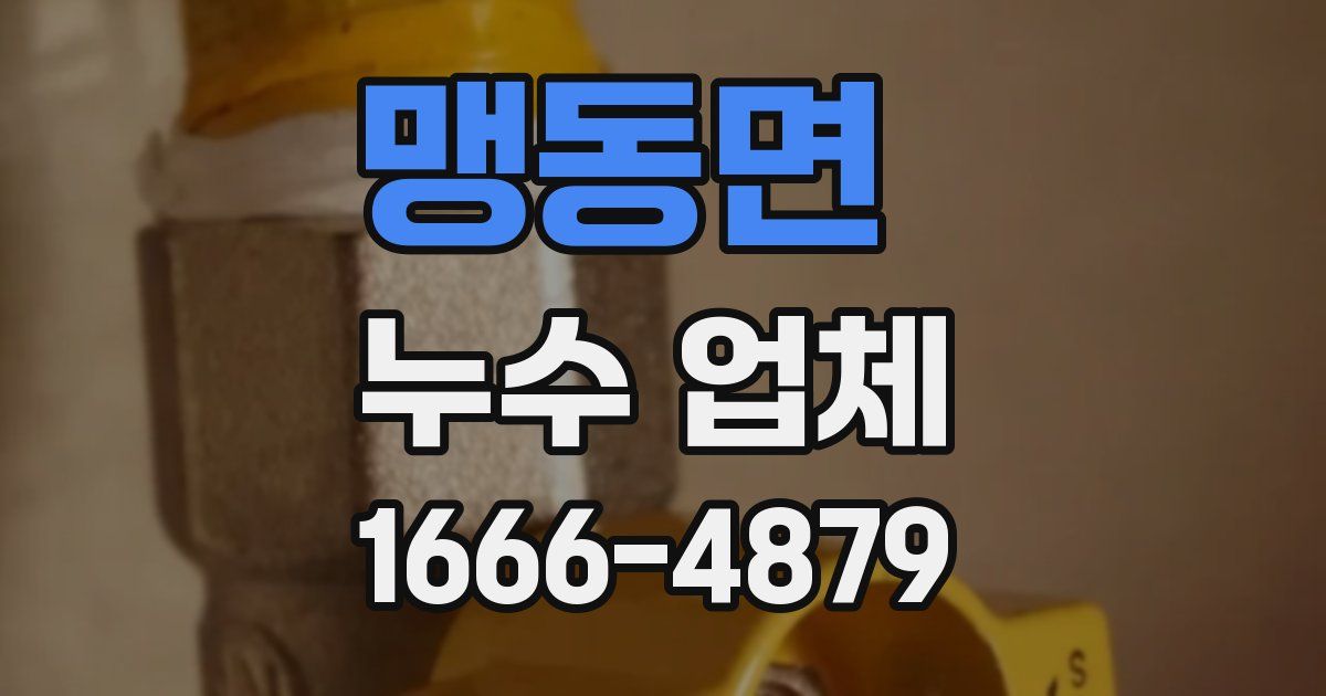 맹동면 누수 업체