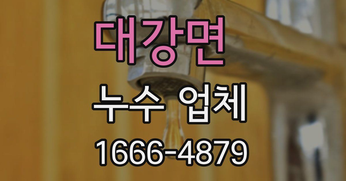 대강면 누수 업체