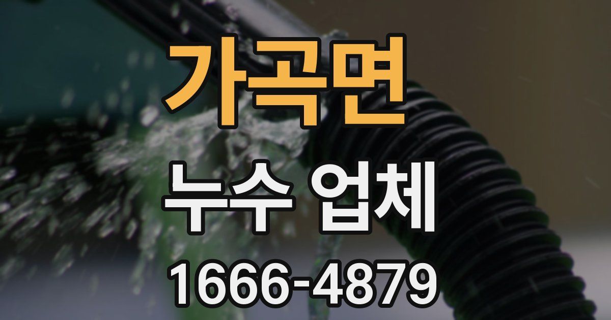 가곡면 누수 업체