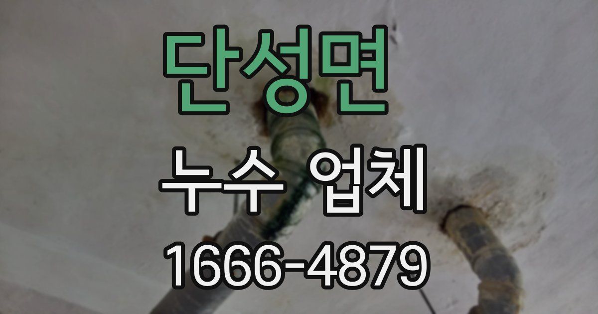 단성면 누수 업체