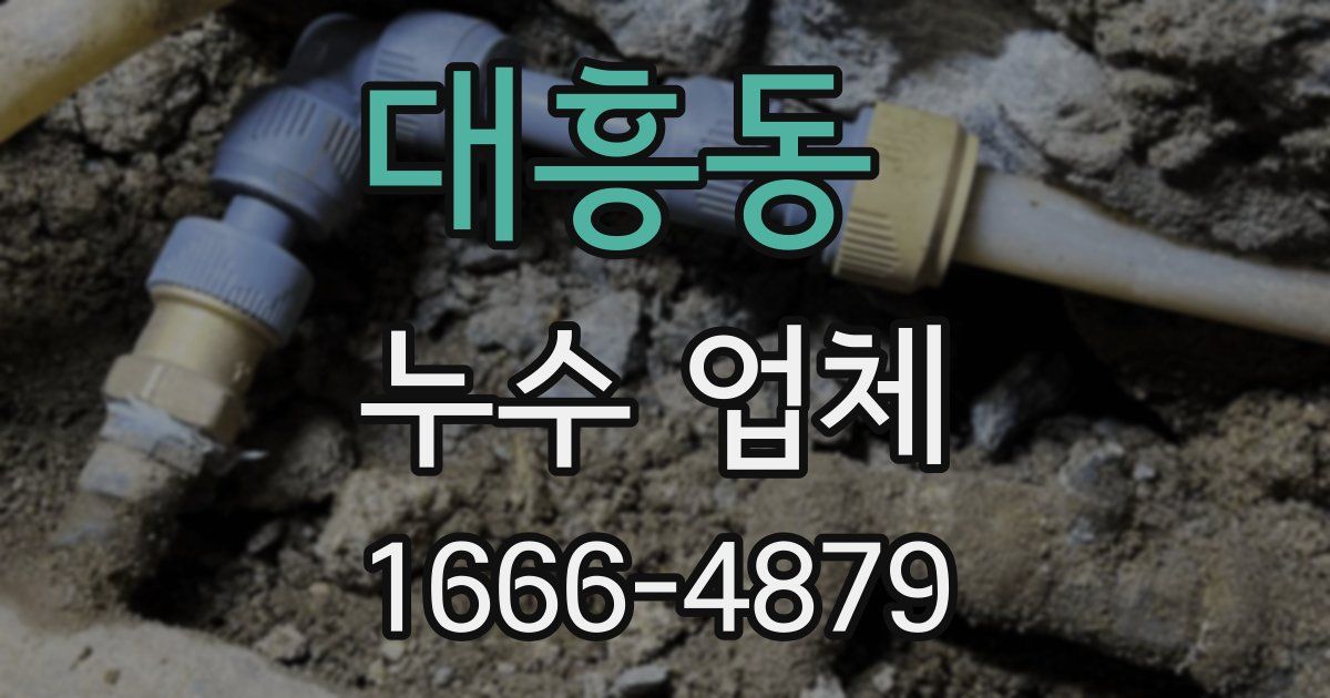 대흥동 누수 업체
