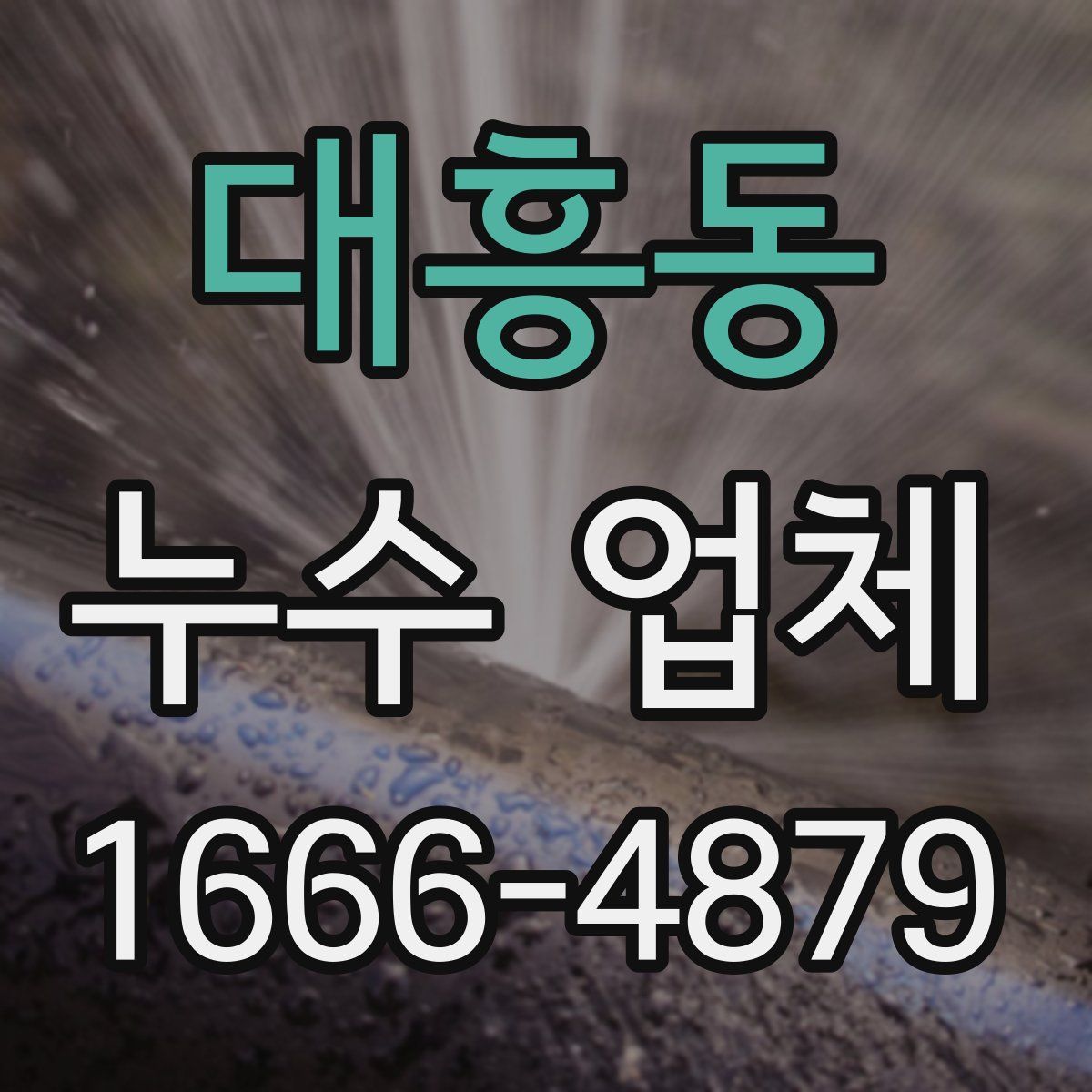 대흥동 누수 업체