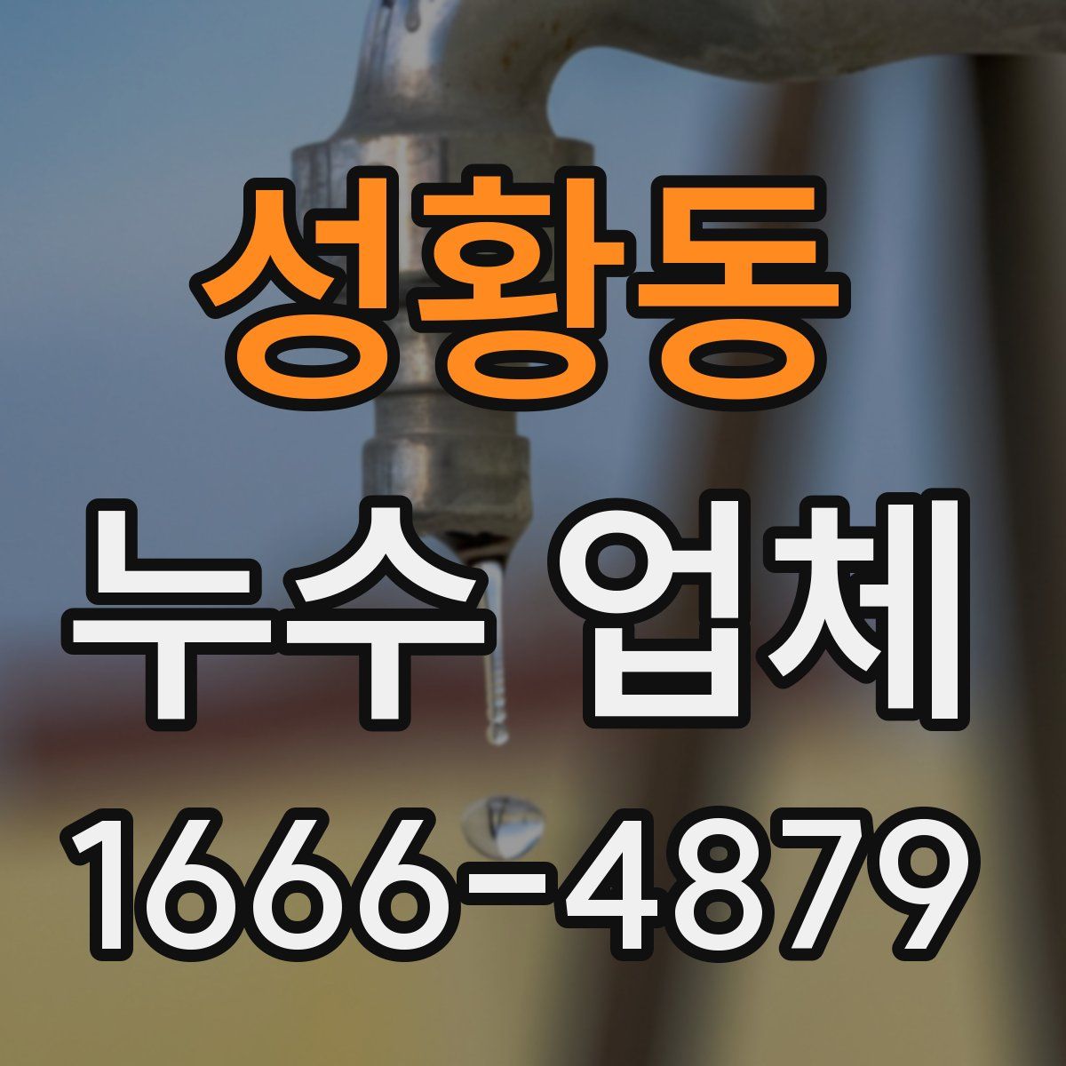 성황동 누수 업체