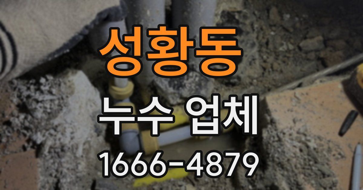 성황동 누수 업체