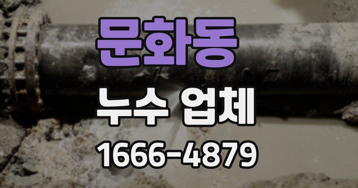 문화동 누수 업체
