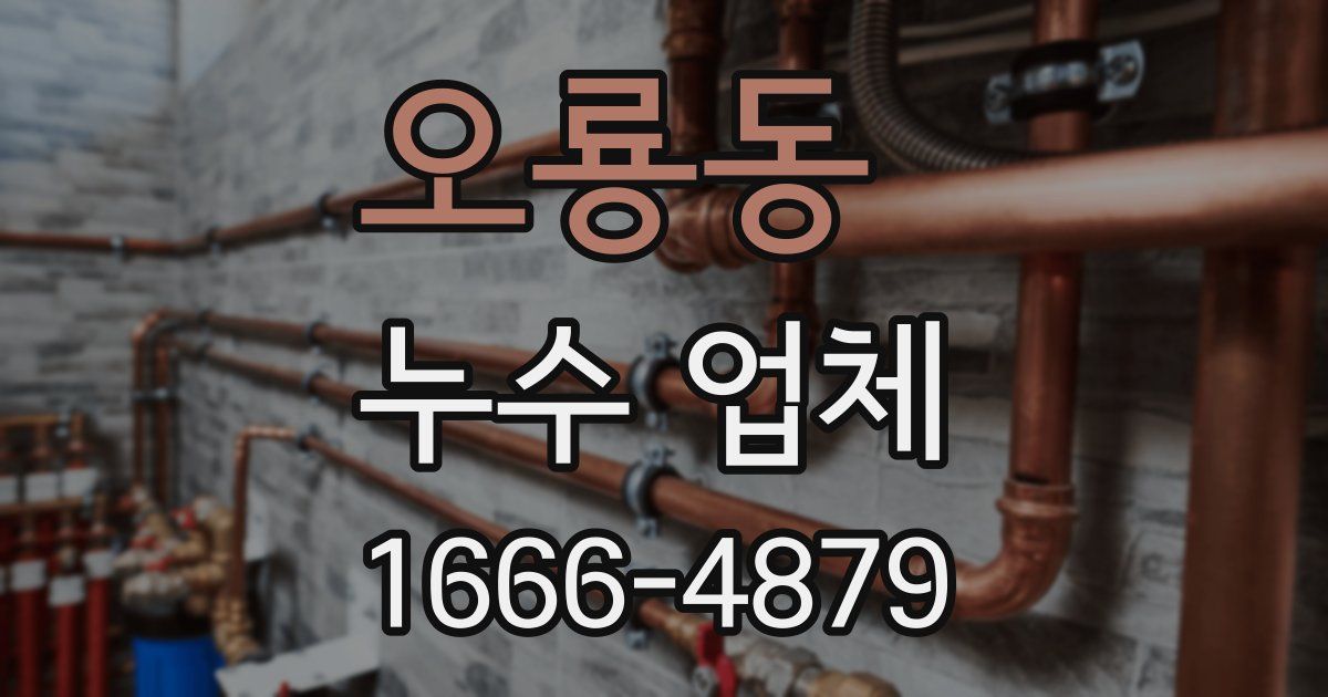 오룡동 누수 업체