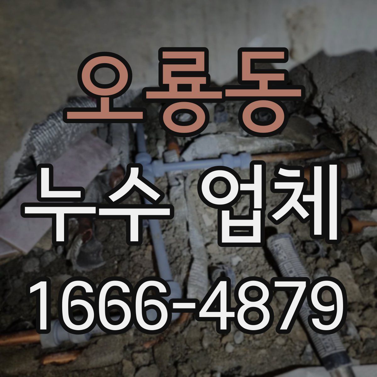 오룡동 누수 업체