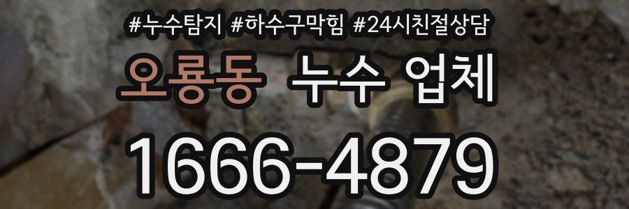오룡동 누수 업체