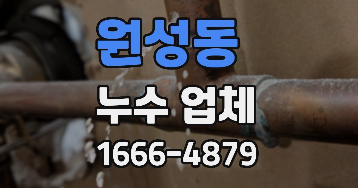 원성동 누수 업체