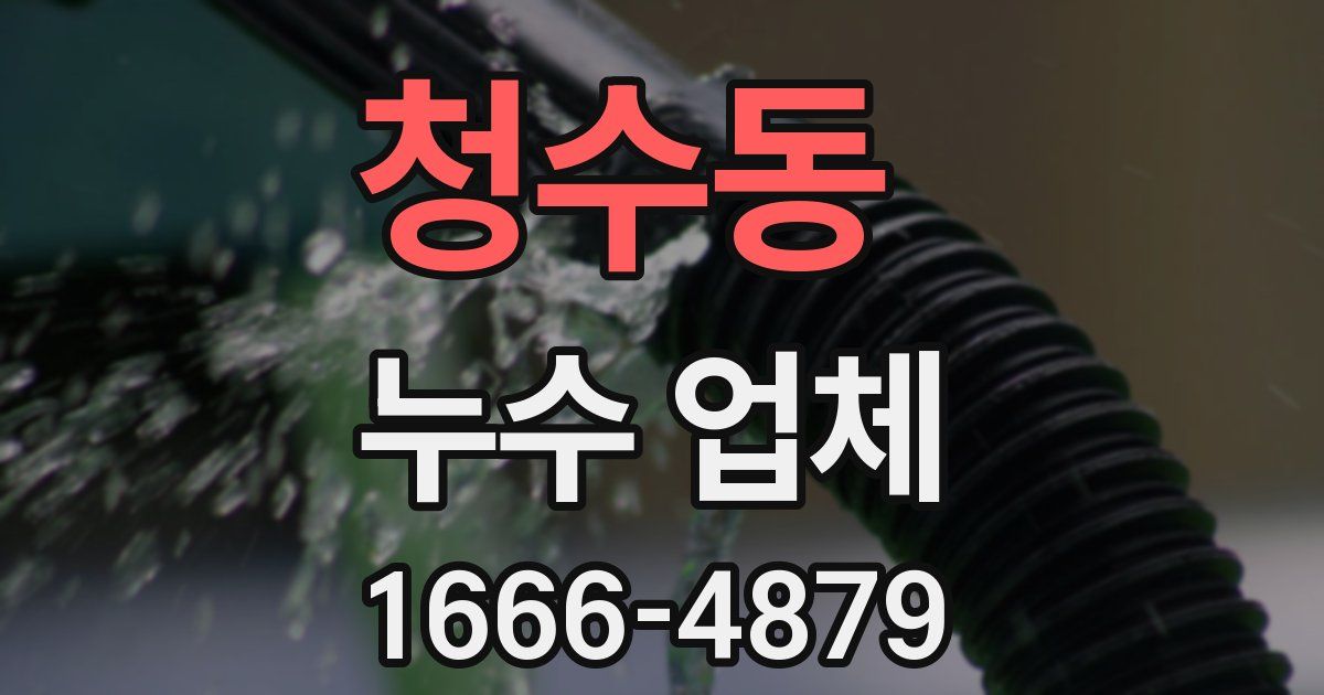 청수동 누수 업체