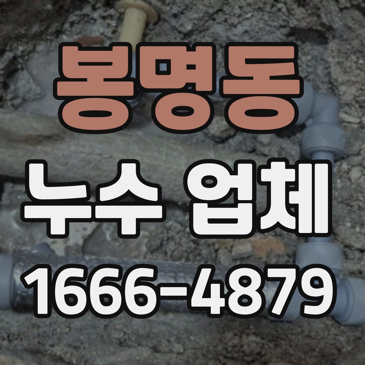 봉명동 누수 업체
