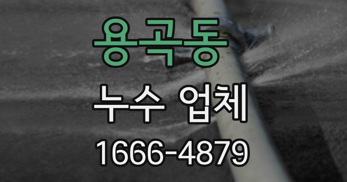 용곡동 누수 업체