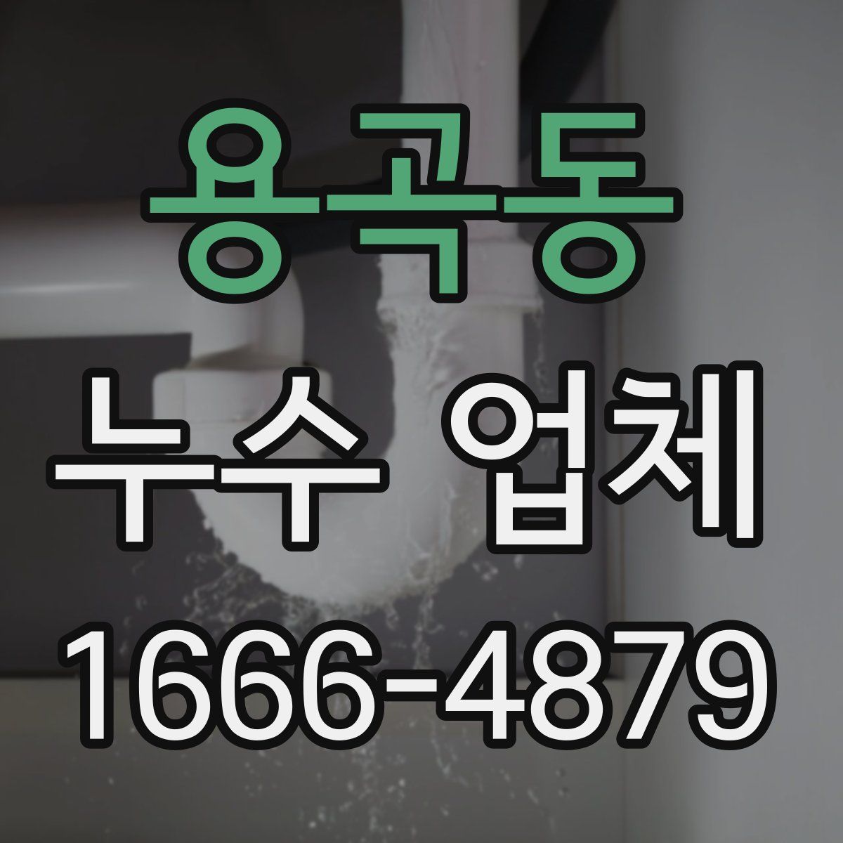 용곡동 누수 업체