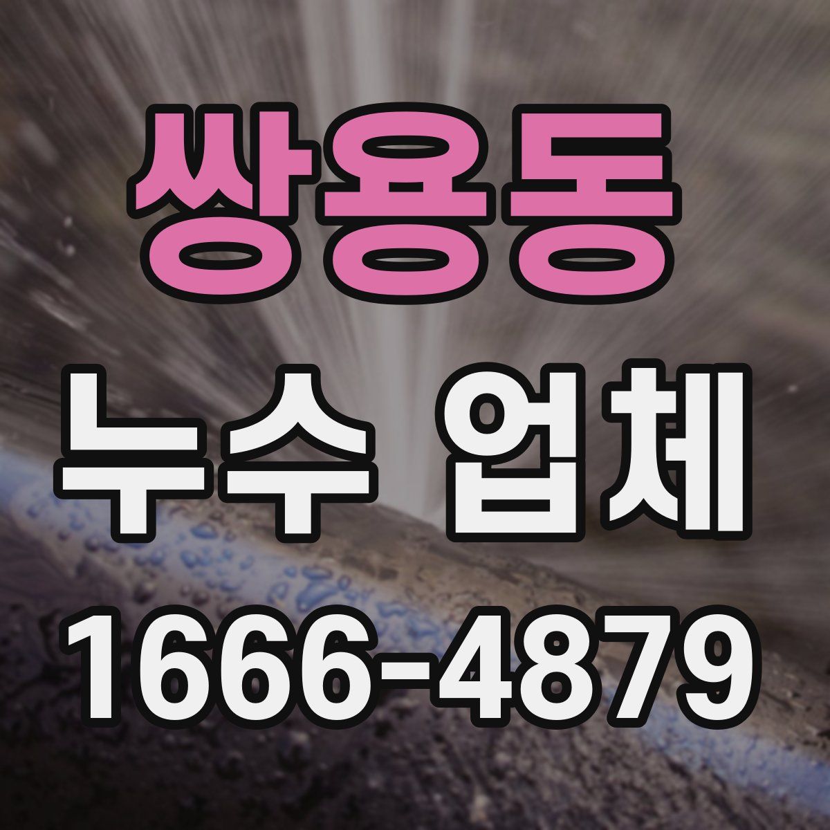 쌍용동 누수 업체
