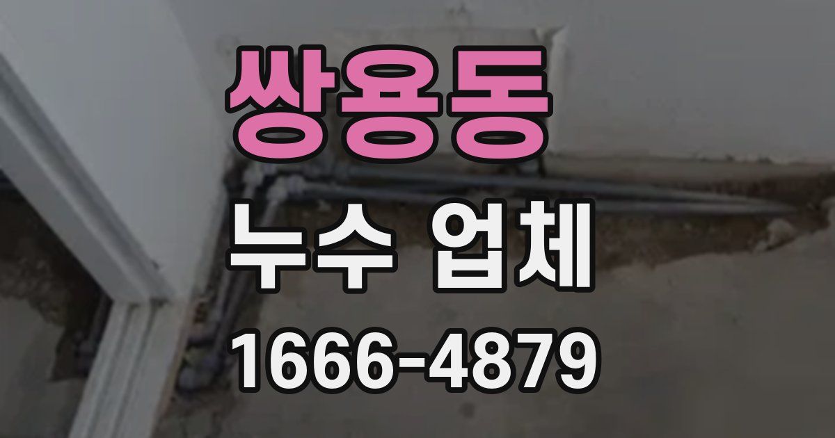 쌍용동 누수 업체