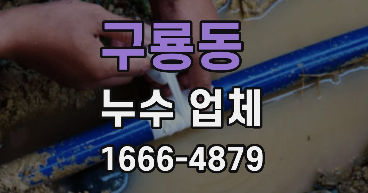 구룡동 누수 업체